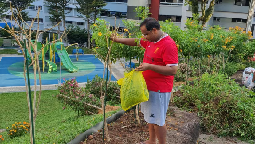 Featured image for How a single hibiscus for Ganesh Kumar’s late mother transformed into a nine-storey community garden